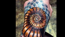 40 Ammonite Tattoos Tattoos For Men-2rspsmWX5O4