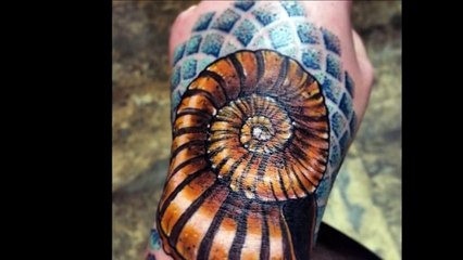 40 Ammonite Tattoos Tattoos For Men-2rspsmWX5O4
