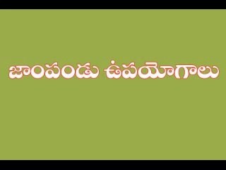 Health Benefits of Guava Fruit I జాంపండు ఉపయోగాలు