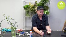 Floral Design Elements - Body Botanicals with Shawn Michael Foley-uhj1zNooqlA