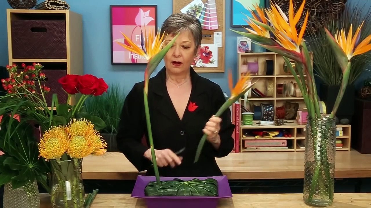 Formal Linear Floral Designo0Lhih2Tc_c video Dailymotion