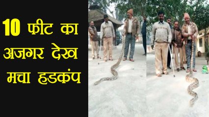 Allahabad : पेड़ पर चढ़ा 10 फीट का अजगर, मचा हड़कंप | वनइंडिया हिंदी