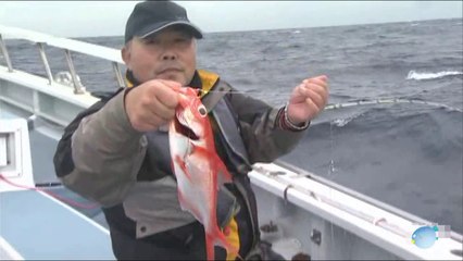 神奈川県逗子　小坪沖 沖の瀬で深海　キンメを釣る！！Zushi Kanagawa fishing kinmedai