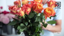 How to make hand tied bouquet Bloomtube Floral Inspiration-Ko_rmbfJmAc