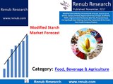Modified Starch Market will exceed US$ 13 Billion by the end of year 2024