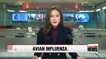 H5N6 strain of avian influenza detected at duck farm in Jeollabuk-do Province