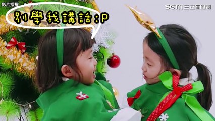 「妳才是小胖呆！」聖誕小精靈鬥嘴互學講話　二十萬網友被萌哭｜三立新聞網SETN.com