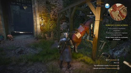 Wiedźmin 3_ Dziki Gon_20170220171033