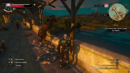 Wiedźmin 3_ Dziki Gon_20171028215749