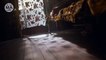 The Alienist (TNT) 'Hide & Seek' Trailer HD - Luke Evans, Dakota Fanning series-wHhAyYNlgUE
