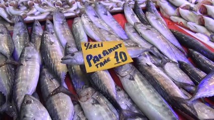 Samsun Karadeniz'de 'Hamsi'nin Az Olması 'Mezgit' Tüketimini Yükseltti