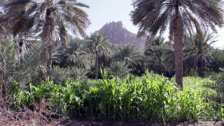 izwa - Oman Tours HD_