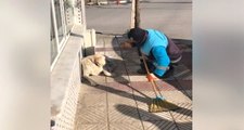 Temizlik İşçisinin Sokak Köpeğine Söylediği Arabesk Şarkı Sosyal Medyaya Damga Vurdu