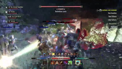 DonAleszandro The Elder Scrolls «-Arx Corinium mit Don Animal Guard-» (546)