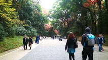 Vlogmas! Meiji Shrine, Yoyogi Park, Harajuku (Day 1-9) | December Delights #1