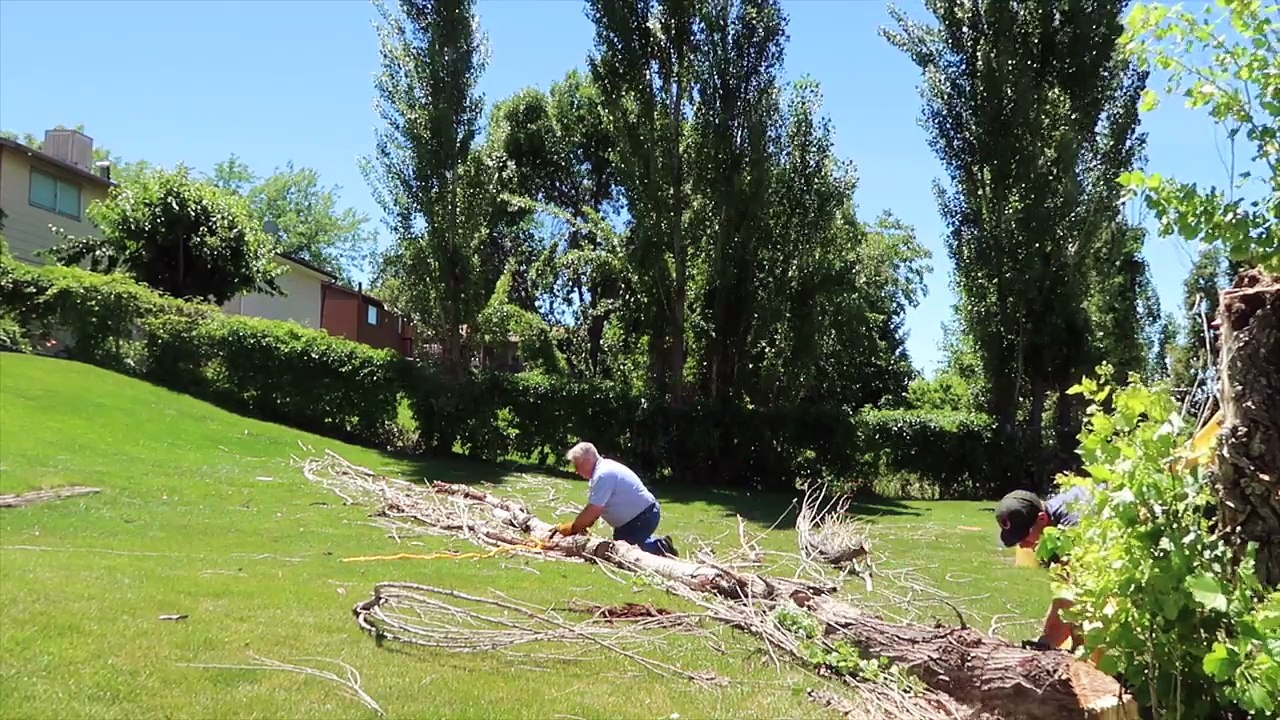 Fathers Day Morning Routine 2017
