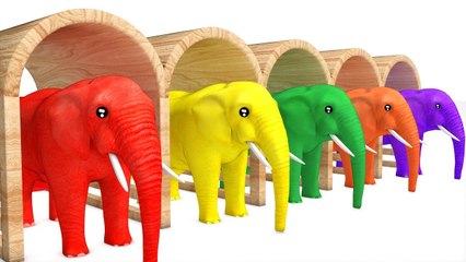 Learn Color Animals Elephant W Grass Cartoon Nursery Rhymes for Children