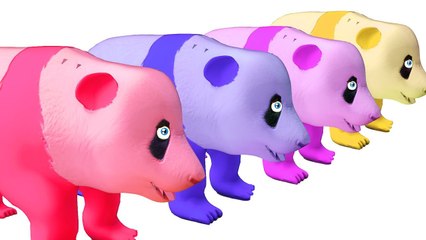 Learn Color Learn Numbers Animals Panda Panda W Birthday Cake Cartoon Nursery Rhymes for Kids