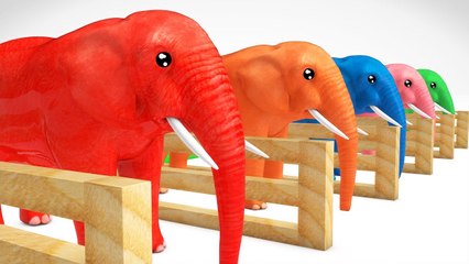 Learn Color Elephant Animals Fruits W Water Surprise eggs Cartoon Nursery Rhymes for Children