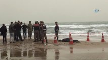 Teknesi Alabora Olan Veteriner Hekim Cesedi Kıyıya Vurdu