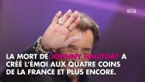 Johnny Hallyday - Anémone traite le rockeur de 'pantin médiatique'