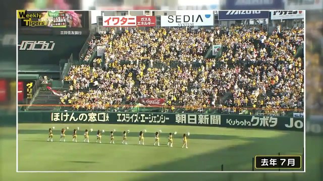 プロ野球ニュース 阪神タイガース ⚾️ 12月22日 キャプテン福留孝介出演 DeNAより尾仲投手入団発表・若虎鳴尾浜で自主トレ / プロ野球 / プロ野球 ハイライト