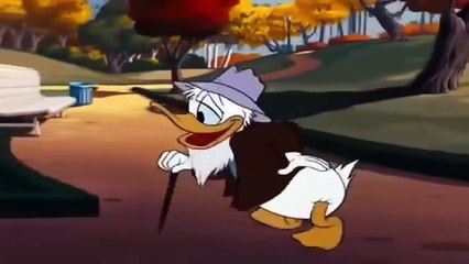 ᴴᴰ Donald & Chip Dale Cartoons - Minnie Mouse, Mickey Mouse, Lion, Bee (#8)