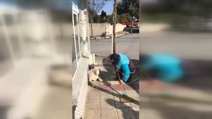 Manisa Çöpçünün, Sokak Köpeğine Şarkı Söylemesi Fenomen Oldu