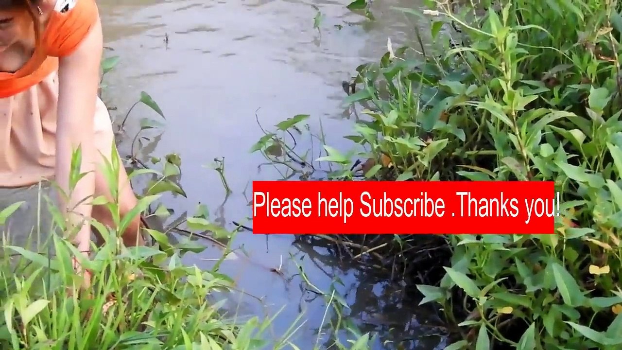 mazing Fishing In Battambang - How To Catches Fishs - Cambodia Traditional Fishing(12)_