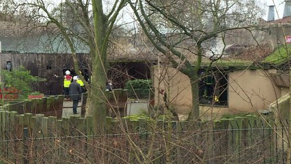 Incêndio em zoológico de Londres
