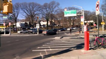 Dog Stuffed in Plastic Bag with its Mouth Taped Shut Found in Brooklyn Park