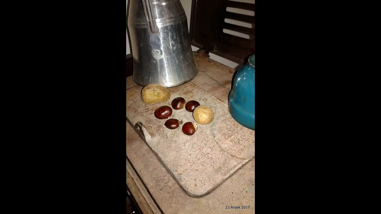 23 Aralık 2017 - Kar(2)