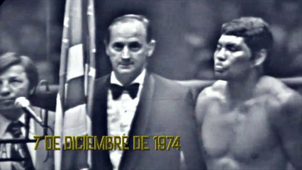 JORGE BECHARA - DIRECTOR (2017)