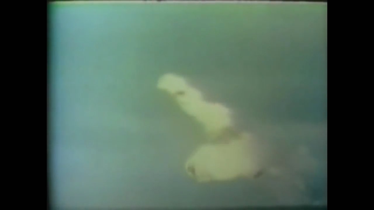 Video Liberado Ruso,Cazas VS OVNIS (WAR Russian OVNIS)