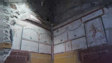 Pompei: tre domus restituite ai visitatori
