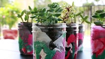 DIY Mason Jar Succulents - HGTV Handmade-9AAxPMvGK5k