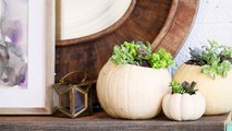 DIY Pumpkin Succulent Planters - HGTV Handmade-FhsIEVbyljw