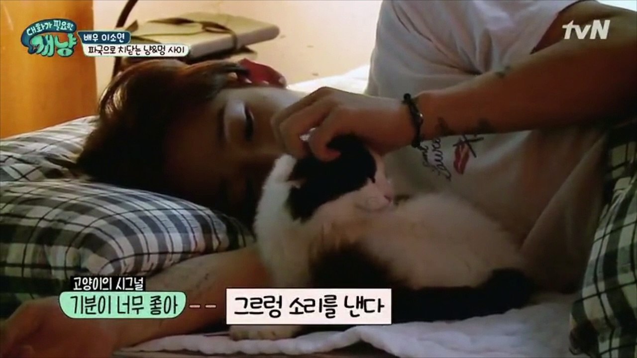 [Indo SUB] Dear My Human ep 15 (preview)