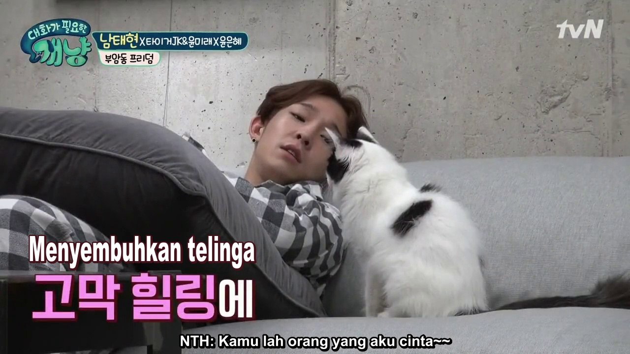 [Indo SUB] Dear My Human ep 11 (TH's cut)