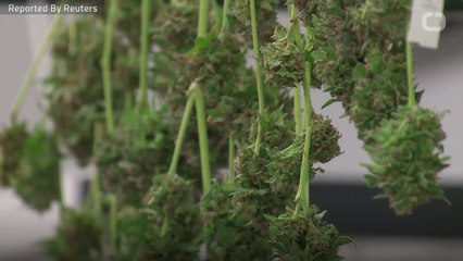 Elderly Couple's Plan To Give Weed Thwarted By Caps