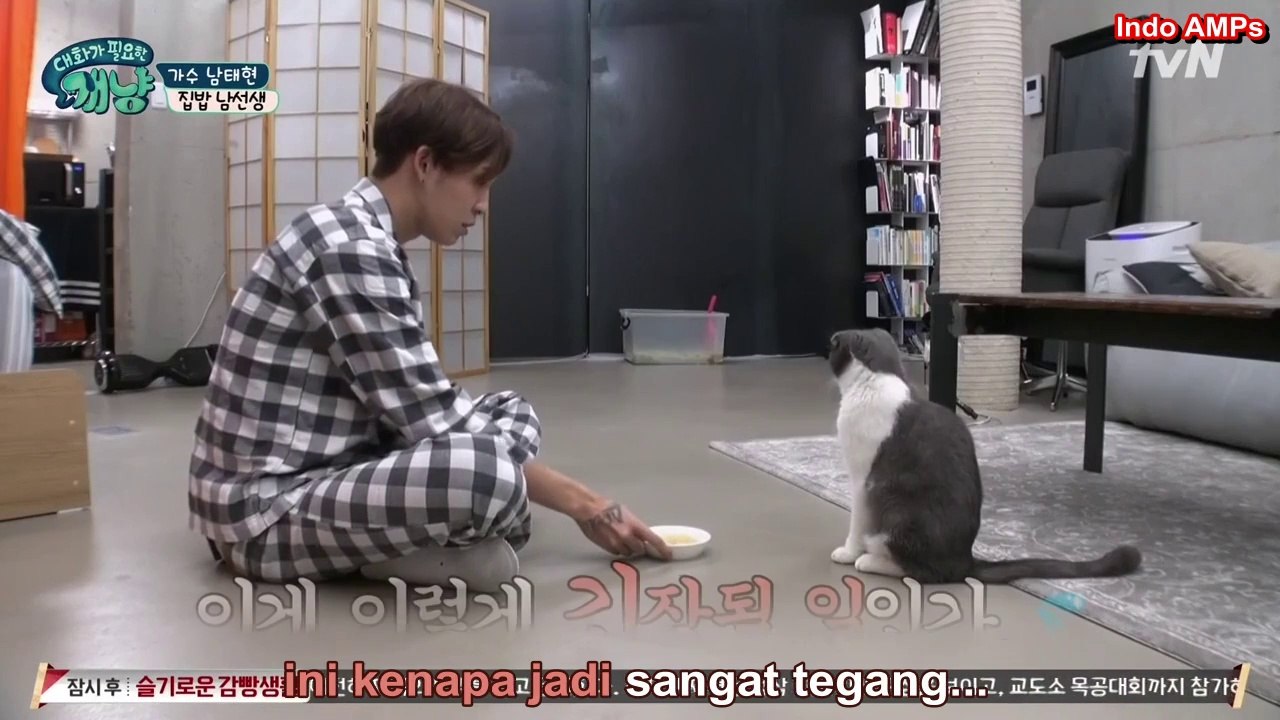 [Indo SUB] Dear My Human ep 12 (TH's cut)