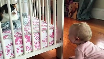Cute and Funny Babies Laughing At Cats Compilation - Funny Video