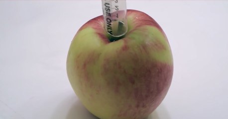 Removing Seeds From Apple!