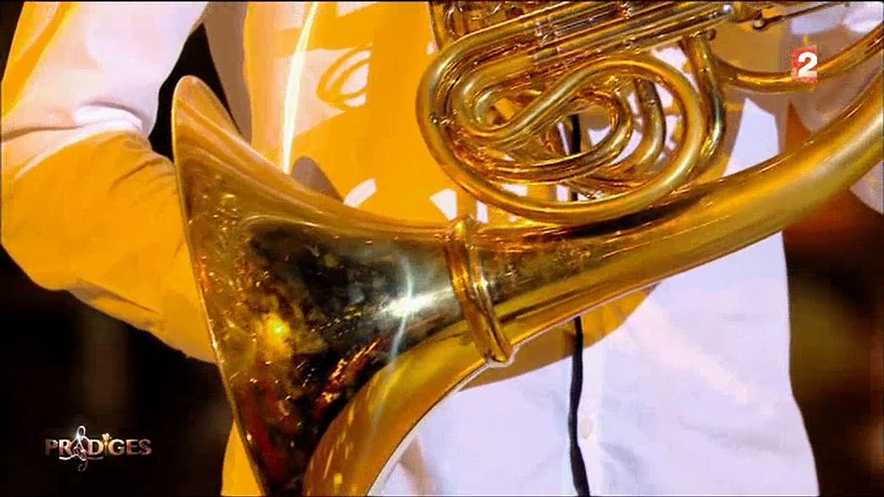 "Prodiges" : Un candidat bluffe le jury avec une reprise au cor d'Ennio Morricone