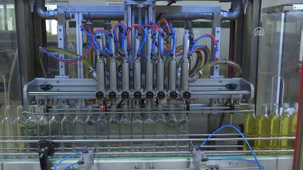 Zeytin ve zeytinyağında rekor ihracat beklentisi - İZMİR