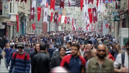 - İstanbul kedileri Rus sinemalarında