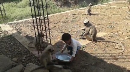 ಕರ್ನಾಟಕದ ಈ ಮೌಗ್ಲಿಗೆ  ಕೇವಲ 2 ವರ್ಷ ವಯಸ್ಸು, ಆದರೆ ಆತನ ಕಥೆ ನಂಬಲಸಾಧ್ಯ!  | Oneindia Kannada