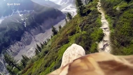 The Best of Eagle Attacks Caught on Video _ Most Amazing Wild Animal Fights