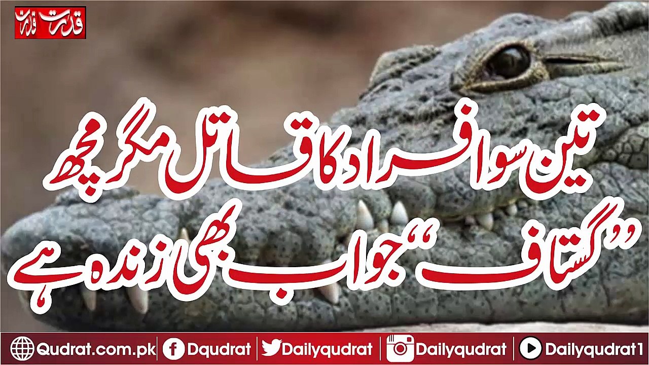 The murderer of three hundred people, but the fish Gustave who is still alive