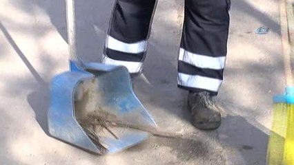 Sokak Köpeğine Şarkı Söyleyen Temizlik İşçisi Konuştu